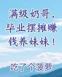 满级奶哥，毕业摆摊赚钱养妹妹！全本免费阅读