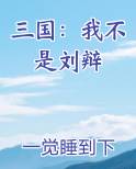 三国：我不是刘辩