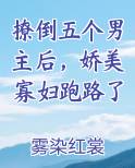 撩倒五个男主后，娇美寡妇跑路了