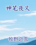 神笔夜叉完结小说