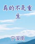 真的不是重生免费小说